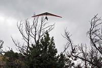 5_HangGliderPassingOver.jpg