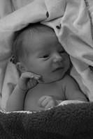 sm_CalebBlanket_bw_3492.jpg