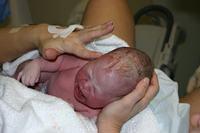 Cameron Lee Kokot; 5 Feb 2005; Just Born in Sacile Italy