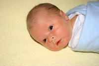 Cameron arrives home.  7 Feb 05